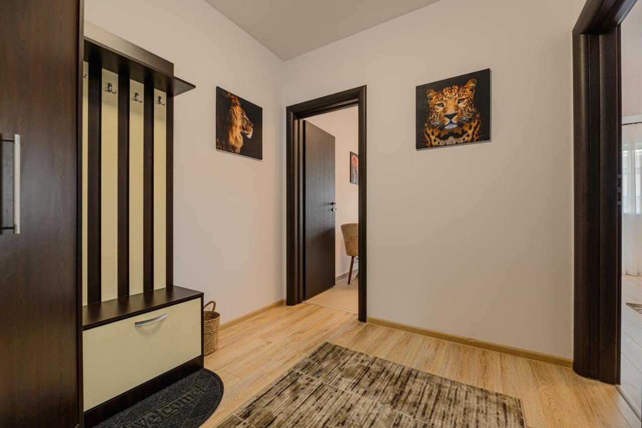 Zen Apartments Brasov Exterior photo